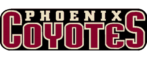 Arizona Coyotes 1996 97-2002 03 Wordmark Logo cricut iron on